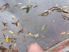 Auf eine Rutsche gespritzt - great cum