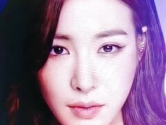 SNSD tiffany young cum tribute