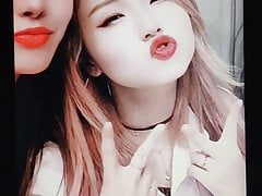 HAchubby Cum Tribute #4 Thick load for korean streamer