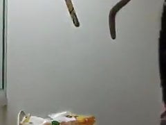 Nacho madurito mexicano 1