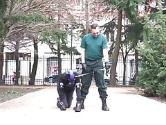 Slave for Dogg