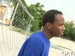 Mischievous Bi-Racial Queer Fucky-Fucky