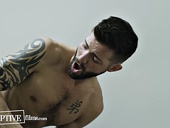 Grosser schwanz, Schwul, Gruppe