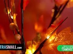 アメリカ人, 中出し, 手コキする, なめる, オマンコ, 叫ぶ, ティーン, オッパイの