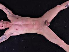 Anal, Sadomasoquismo, Mamada, Fetiche, Gay, Sexo duro, Nalgadas