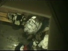 素人, デンマーク人