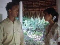 Минет, Брюнетки, Европейки, Волосатые, Жесткий секс, Винтаж