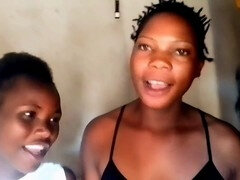 Célébrité, Compilation, Européenne, Rétro, Rétro ancien