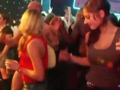 Zwart, Genootschap, Sperma shot, Hondjeshouding, Handbeurt, Interraciaal, Feest, Kut duiken