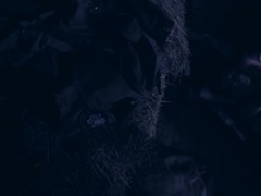 Anaal, Leger, Bruinharig, Sperma in mond, Hardcore, Tiener, Trio, Speelgoed