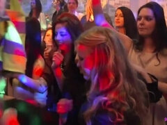 Leie, Schwarz, Verrückt, Gruppe, Handjob, Natürlichen titten, Orgie, Party