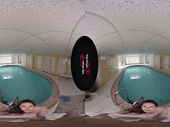 Tridimensionnel, Anal, Néerlandais, Pov