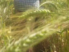 Anaal, Aziatisch, Boederij, Hd, Indisch, Buiten, Biljart, Openbaar