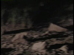 デカパイ, 変態, ブロンド, フェラチオ, 巨乳な, イく瞬間, ディルド, オマンコ