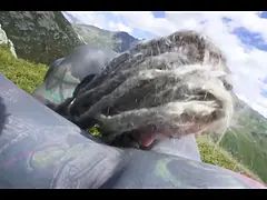 Blonde, Couple, Gorge profonde, Doigter, Hd, Nudiste, Pov, Tatouage