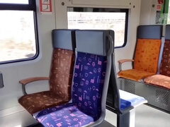 Public* Megakrank, Fahrgast Dreht Vollig Durch