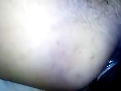 tigre negro 012