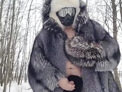 Fur fun in the woods