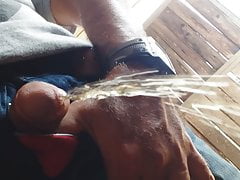 My cock piss 2