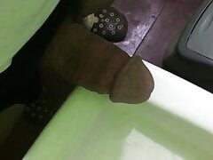 Mi vergota