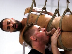 Adam Ramzi is tied up and hanging in the air while getting a BJ
