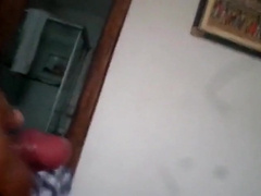 Bezerro carioca mamando os machos 3