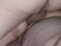 Motel Fucky-Fucky Shack Up (C)