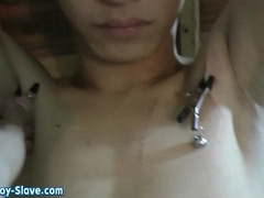 Tall Chinese Boy LX BDSM