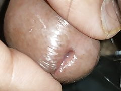 Cum lover