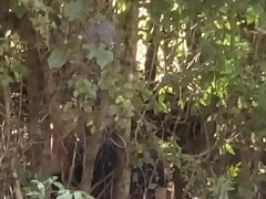 Hidden bj
