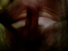 Cock