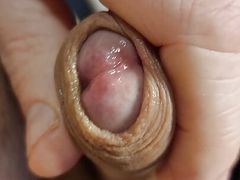 Big Italian Dick Jerking and Nice Big Cum