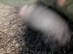 Penis