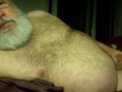 Silver Daddy Bear 9