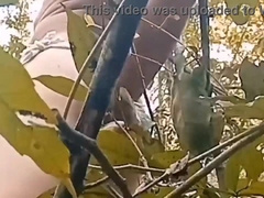 I paw my bum for you baby