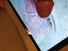 teufelshex muschi tribute