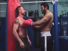 Hairy British Boxers