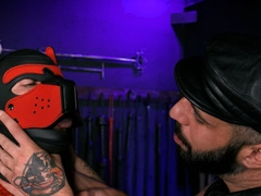 Restrained male slave gags with the cock and gets fucked until the last drops