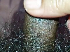 Asok9332 penis