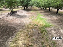 Uber-Cute legitimate yr senior man tearing up in the realm