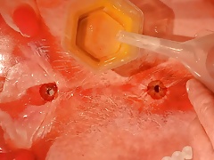 Urine tribute for countess2 No 7!