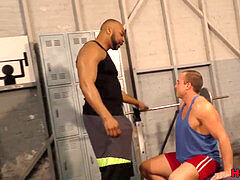 bulky white stud heads black in a gym