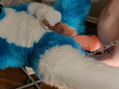 Fizzy attempts a fresh fucktoy in the sling