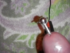 estim my bald cock with plug in
