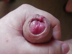 Close up big cock