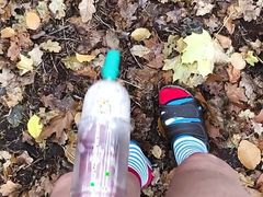 In the forest 🌳