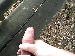 Paja ene l banco del parque