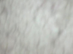 My Culo for Bback Romp