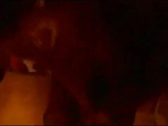 Kinky Crossdresser Bareback Session with Vanessa and Lady Eva4444