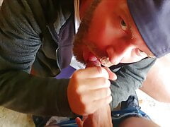 Swallow young boy II